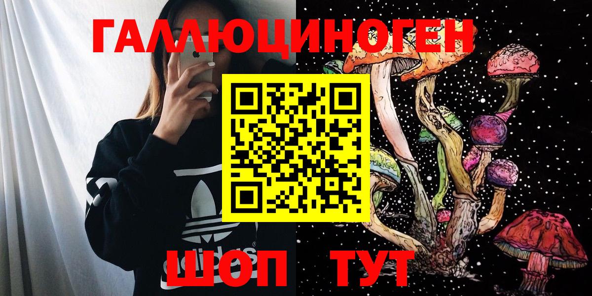 Галлюциногенные грибы мицелий Городец