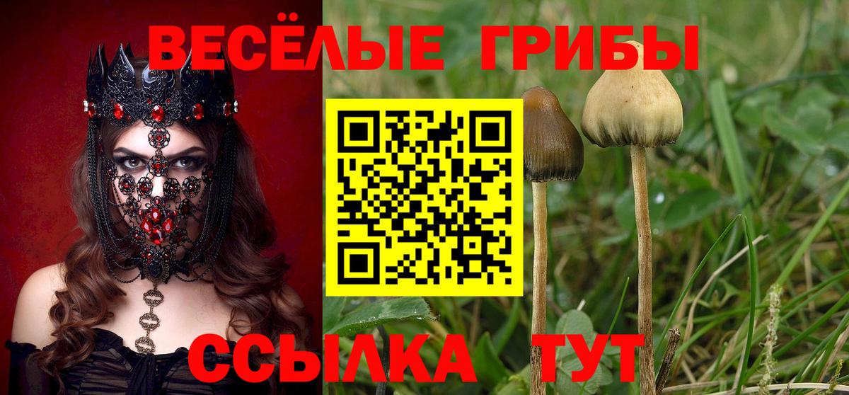 Псилоцибиновые грибы ЛСД  Вход с VPN  Городец 